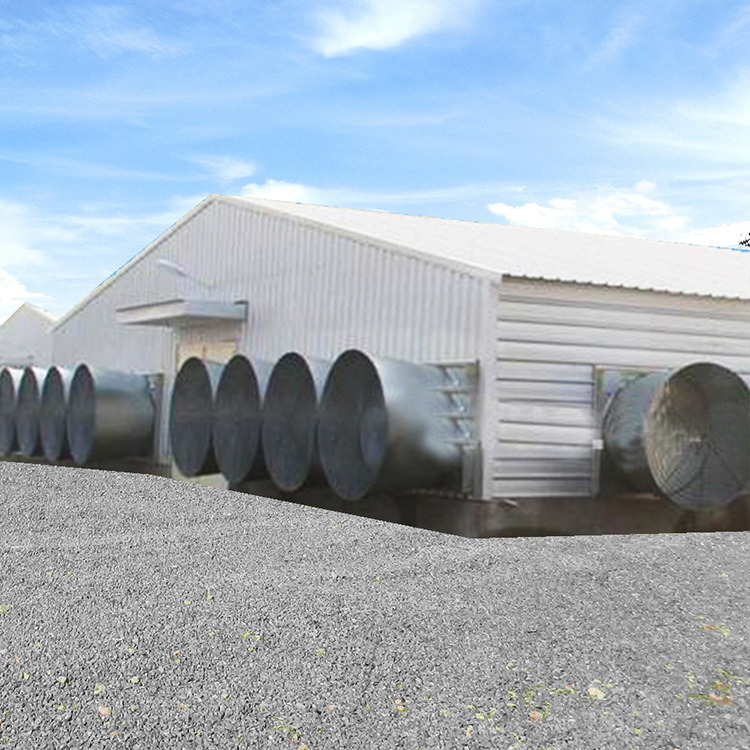 Steel Structure Chicken House Export Production Stable Frame Good Insulation Effect Fully Automatic Steel Structure Chicken House Farm