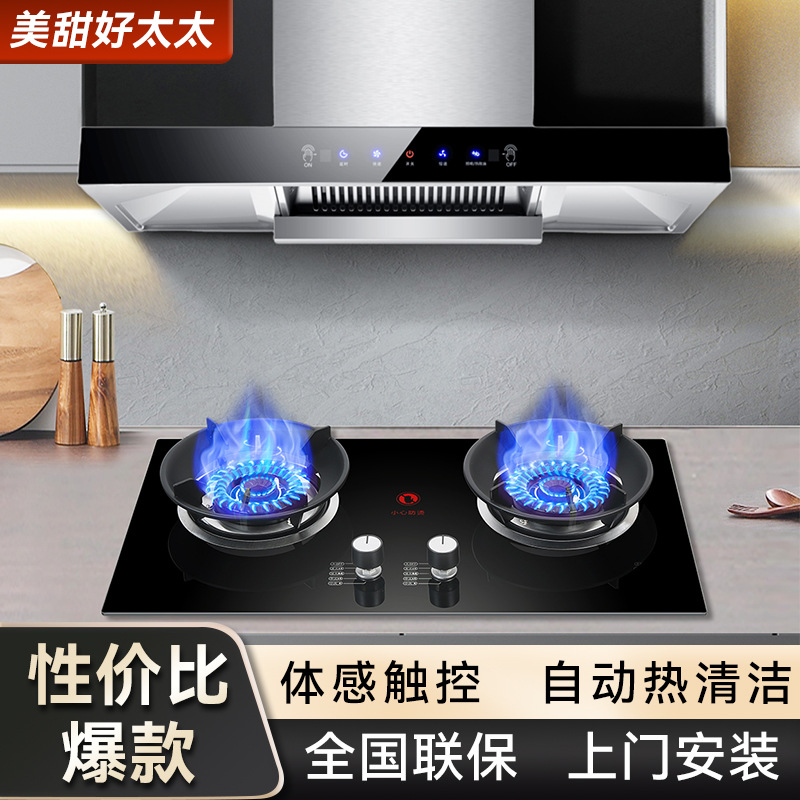 Комплект вытяжки и газовой плиты Good Wife, домашняя двойная плита