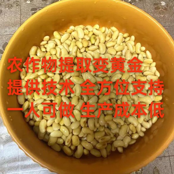 The Deep Processing of Crops to Extract Plant Protein Peptides Opens the Path to Wealth by Turning Corn into Gold