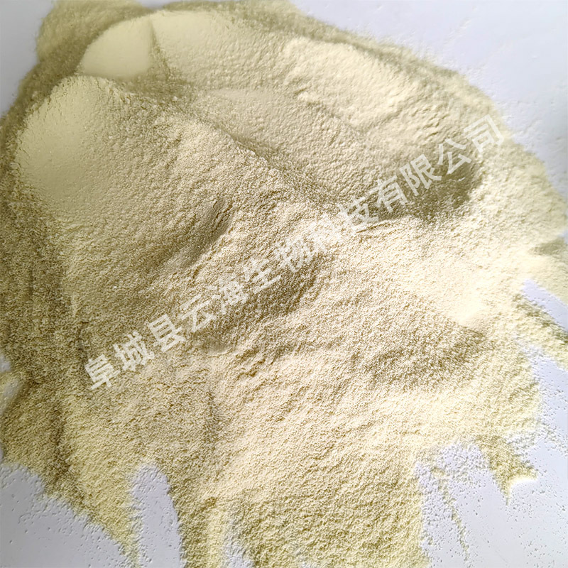 Thickener Industrial Bone Glue Powder Animal Protein Extraction Leather Additive Construction Industry Cement Filling