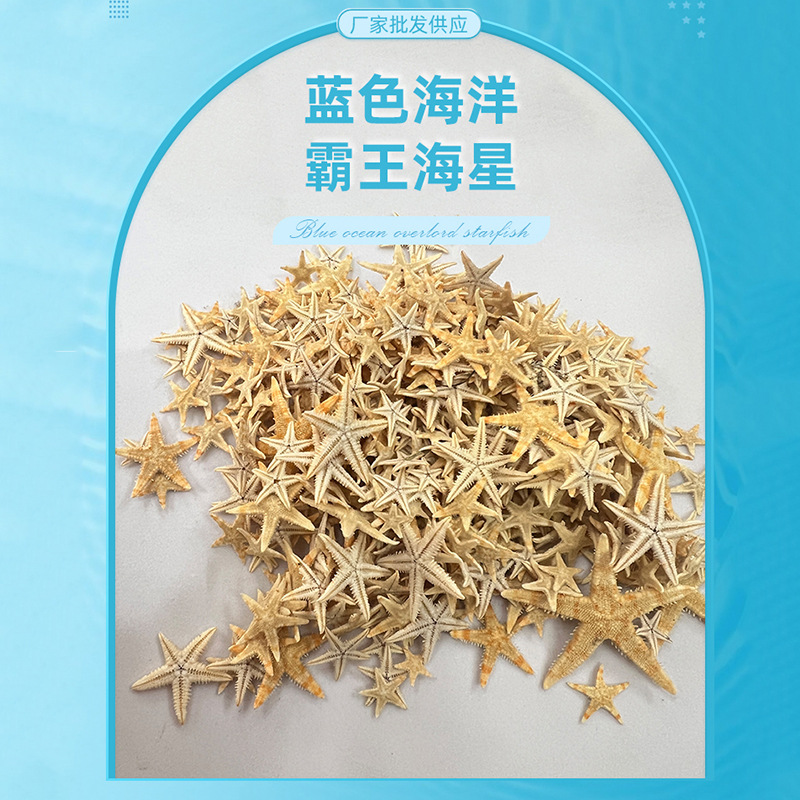 Spot wholesale mini starfish DIY handmade decorative materials jewelry accessories crystal drop glue fish tank landscaping starfish