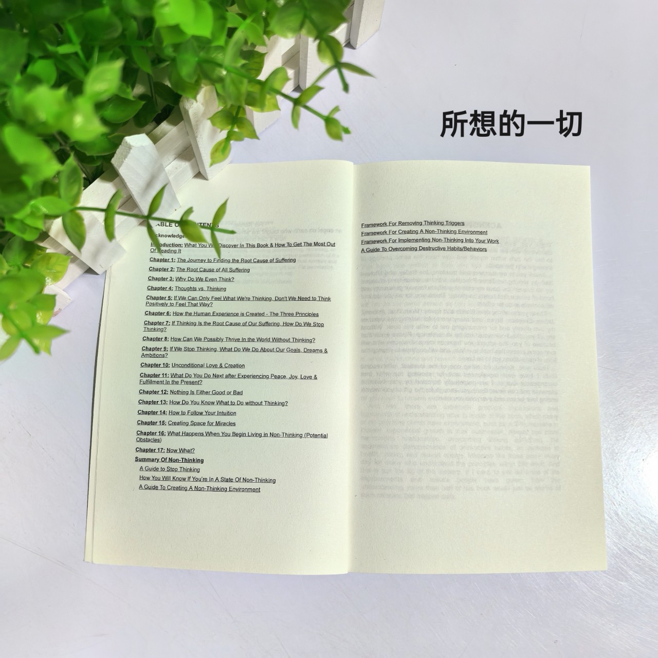 Don'T Believe Everything You Think