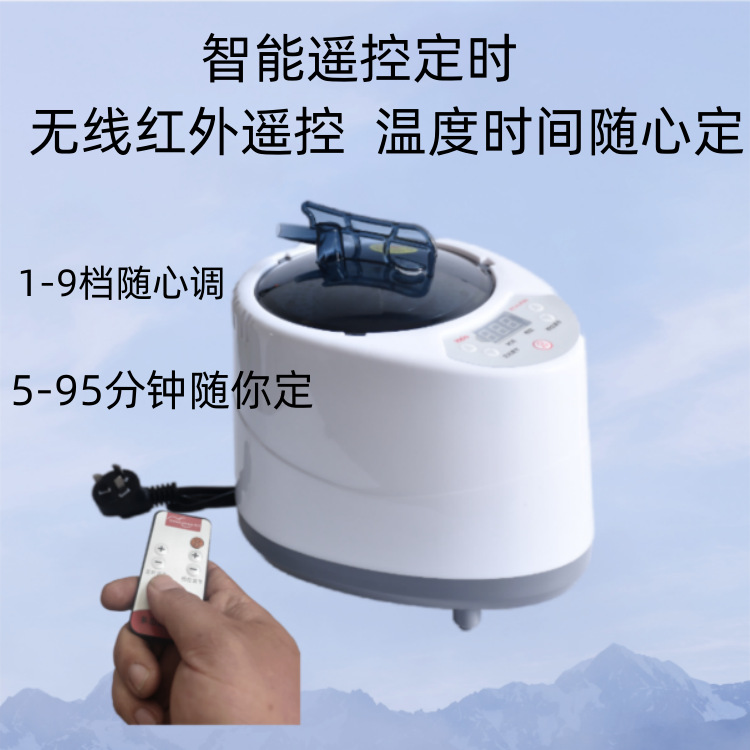 Cross-Border American Standard European Standard Household Steamer Steam Stainless Steel Liner Boiling Medicine Amazon Shrimp Skin Delivery Fumigation Machine