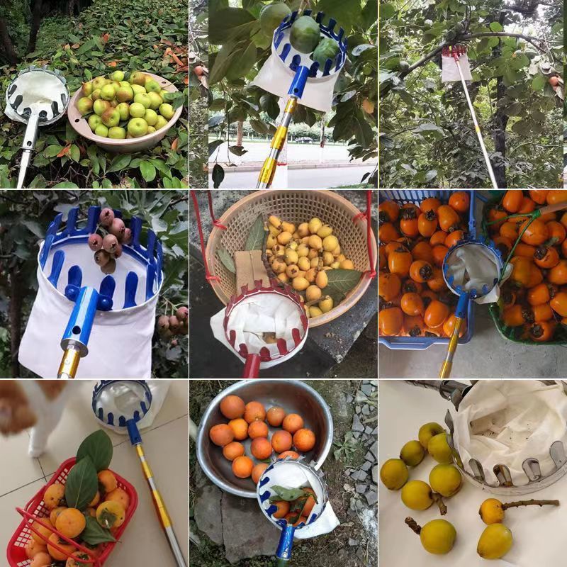 Thickened Stainless Steel Telescopic Fruit Picker for Harvesting High-Altitude Fruits Such as Fragrant Cypress, Locust Flower, Mango, Loquat, Apricot, and Net Bags
