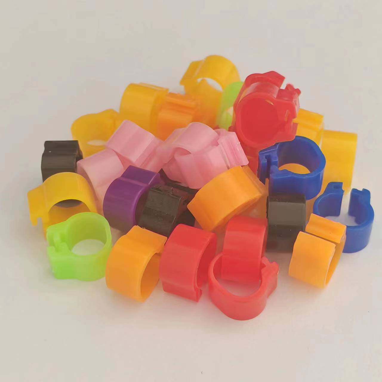 Pigeon, Racing Pigeon, Parrot, Ringneck Dove, Leg Ring, Bird Supplies, Pet Accessories, Bird Ring, for Birds