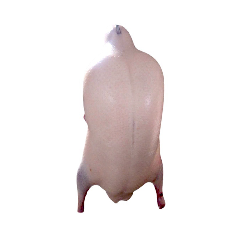 Manufacturer Wholesale Fresh Frozen Crispy Duck Embryos Four-Pack Cherry Valley Crispy Non-Greasy Duck Embryos Roasted Duck Embryos