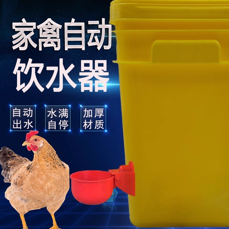 New Universal Automatic Water Bowl for Chickens, Pigeons, Quails, Water Bowl for Chickens, Ducks, Geese, Pigeon Waterer, Poultry Waterer