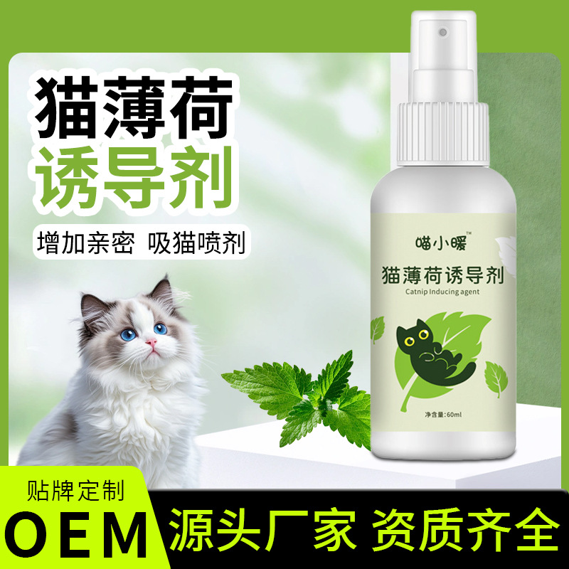 Meow Little Warm Catnip Inducer Cat Anxiety Relief Soothing Emotions Cat Teasing Cat Suction Happy Water Wholesale