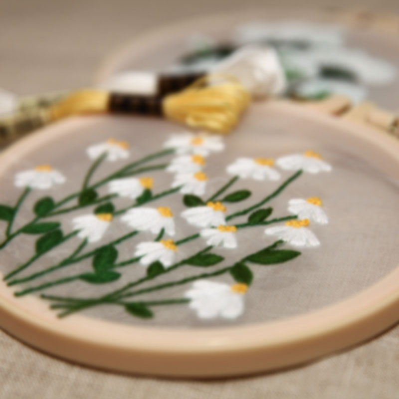 Lu embroidery transparent organza painting embroidery diy material bag handmade cross stitch children's painting creative gift