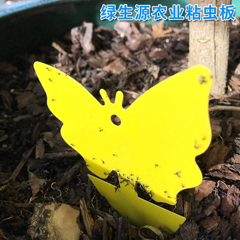 Sticky insect board Trap board double-sided yellow board Amazon stained insect board butterfly flower shaped flower shaped waterproof green plant potted plant