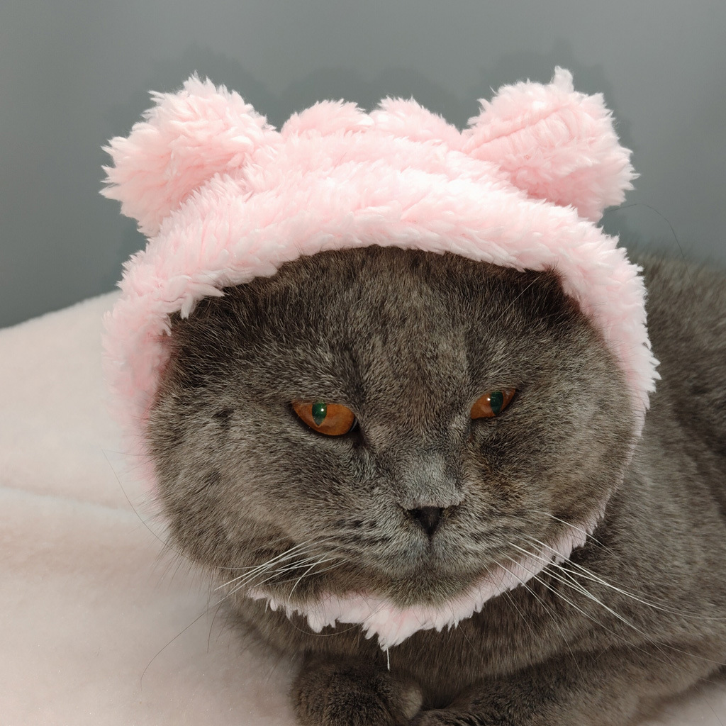 Dog and Cat Costume Hats, Funny Bear Headgear, Teddy and Bichon Photo Props, Pet Accessories