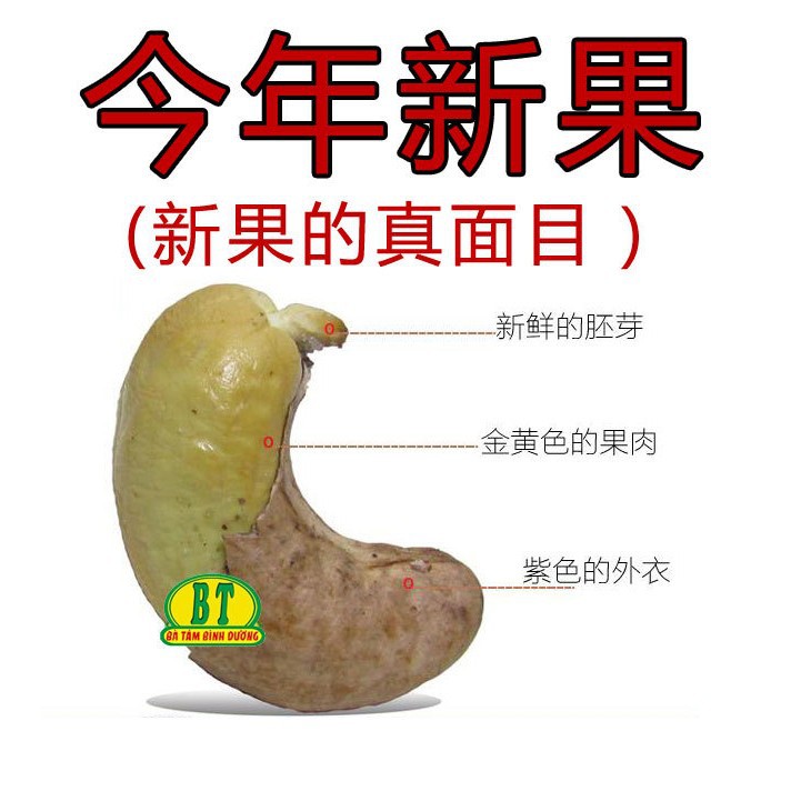 Vietnam specialty wholesale salt baked charcoal roasted original cashew nuts with skin salt baked eight women cashew nuts Chinese and Vietnamese version