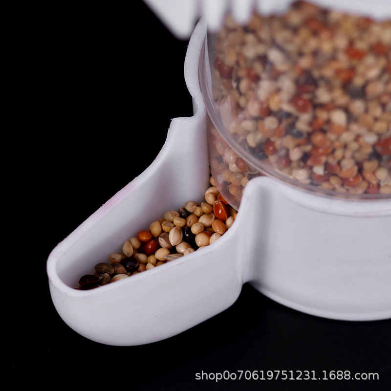 Bird drinking fountain automatic water feeding parrot pearl bird kettle large bird dieter with buckle automatic drinking fountain