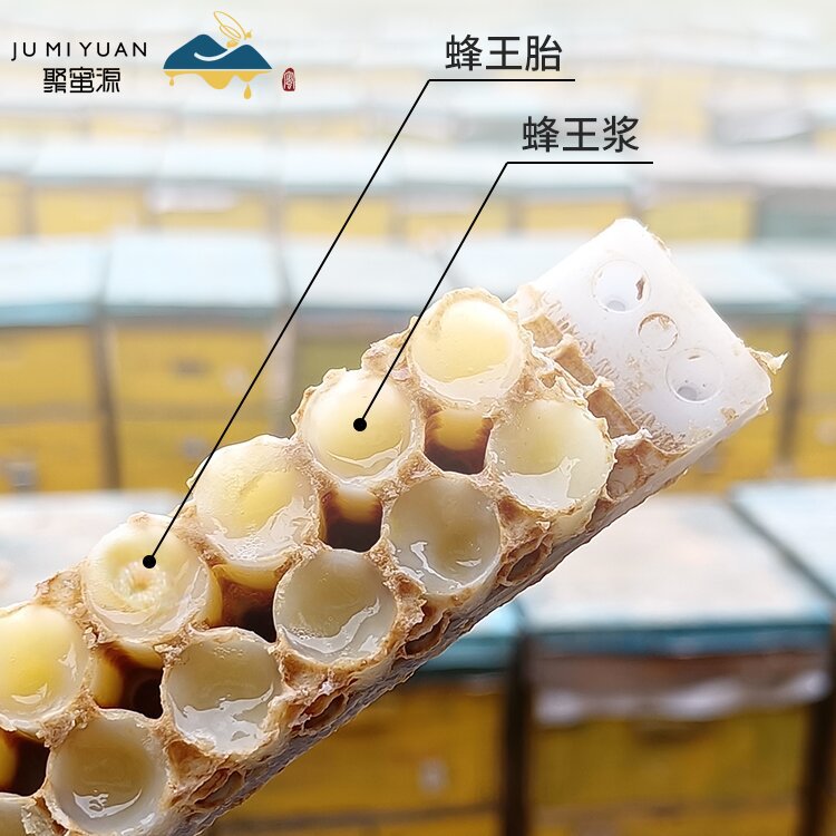 Royal jelly source factory rape fresh royal jelly jumiyuan farm self-produced royal jelly royal jelly 500g wholesale