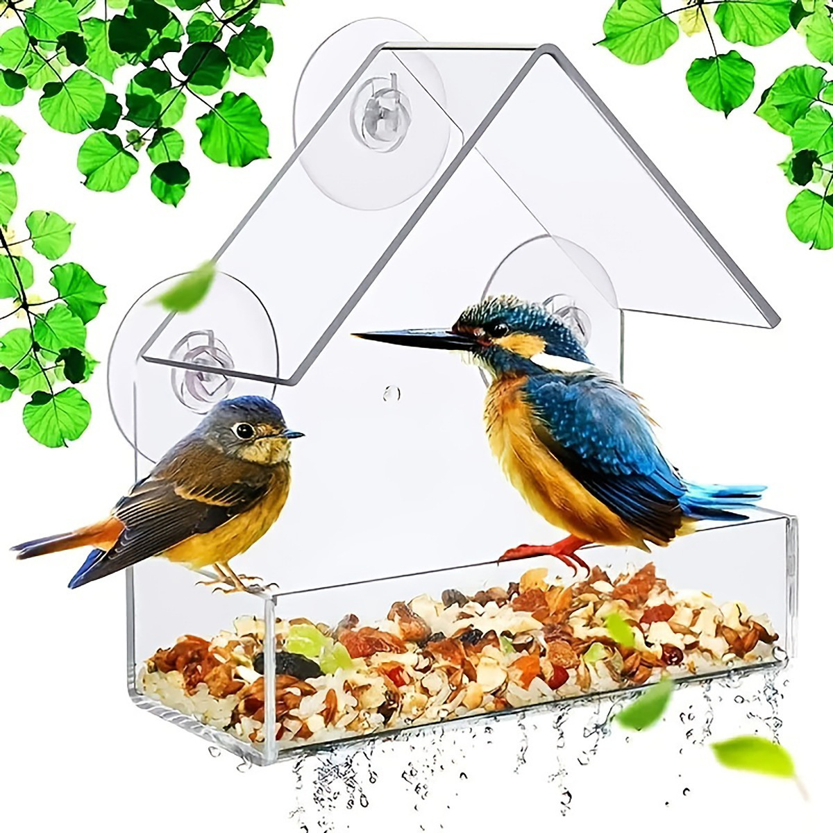 Cross-Border Pet Hanging Supplies Transparent Acrylic Bird Feeder Suction Cup Parrot King Outdoor Bird Feeder