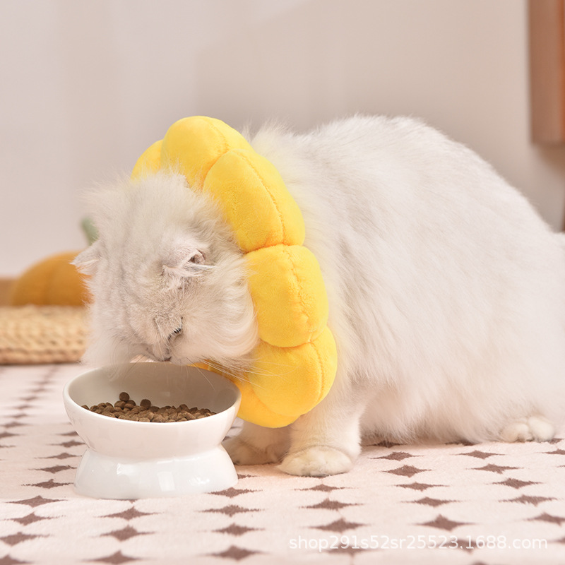 Cat Elizabeth Ring Anti-scratch Pet Sterilization Shame Ring Size Adjustable Waterproof Headgear Anti-licking Collar