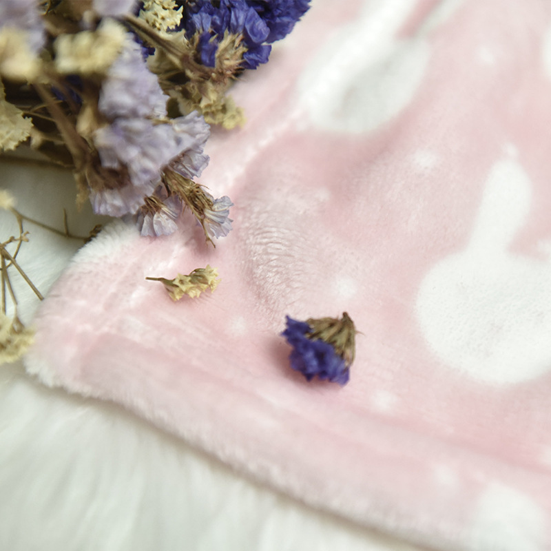 Manufacturer's Ready-Made Wholesale Pet Blanket Gift Matching Coral Velvet Flannel Air-Conditioning Blanket Warm Dog Mat Dropshipping