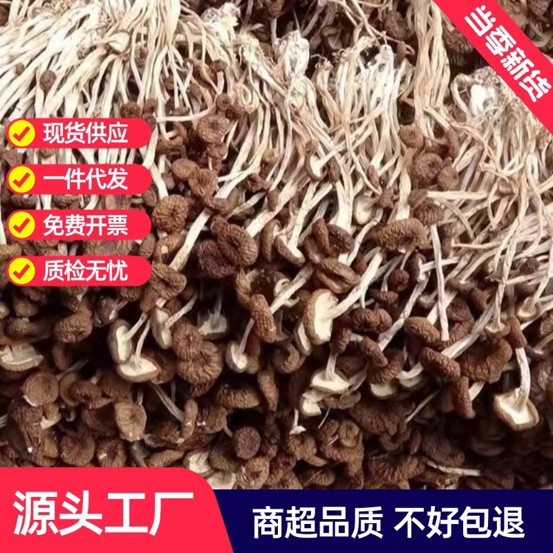 Сушеные чайные грибы Гутянь, 500г, без серы, оптовая продажа