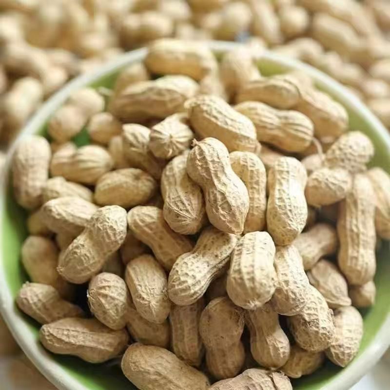 The season's new shelled raw peanuts, dried peanuts, large particles, self-produced and dried by farmers, a large amount of in stock