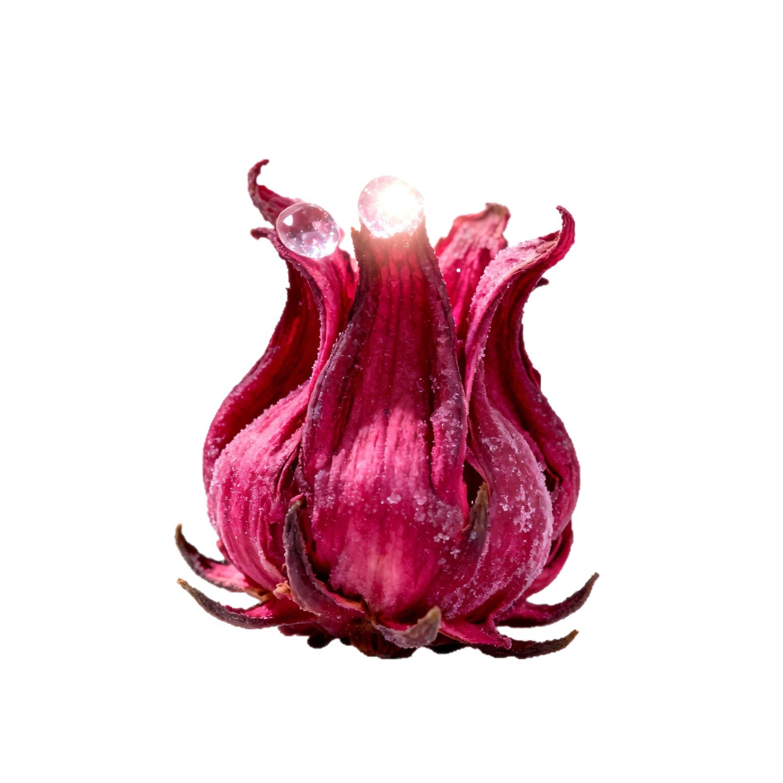 Directly Shipped from Yunnan, Freeze-Dried Roselle Flowers, Clean, Sand-Free, Sulfur-Free, Large Flowers for Brewing