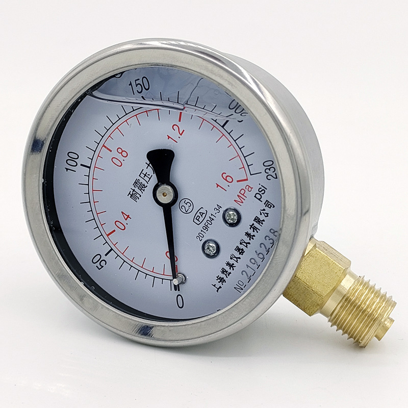 Supply YN-60 high precision pressure gauge stainless steel oil gauge hydraulic water pressure pressure pressure 2 tooth vibration resistant pressure gauge