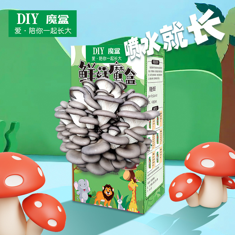 Коробка с грибами, мешок для грибов, палка для грибов, посадка, подарок для дома, школы, детского сада, кухни, слепая коробка с мясистыми растениями