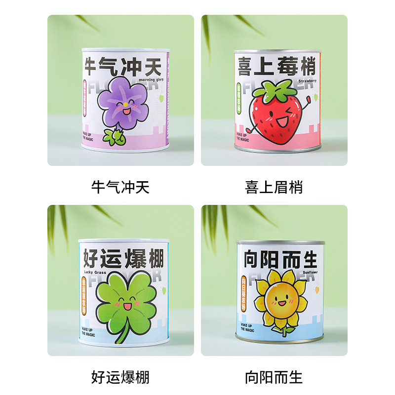 Internet Celebrity Blessing Potted Green Plants Tomato Seeds Canned Plants Desktop Creative Kidsren's DIY Gifts Manufacturer Wholesale