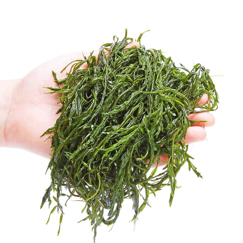 Salted Seaweed Firecracker Bamboo Shoots Fresh and Tender Firecracker Vegetable Cold Dish Niche Hot Pot Ingredients Longevity Vegetable Fresh Wholesale