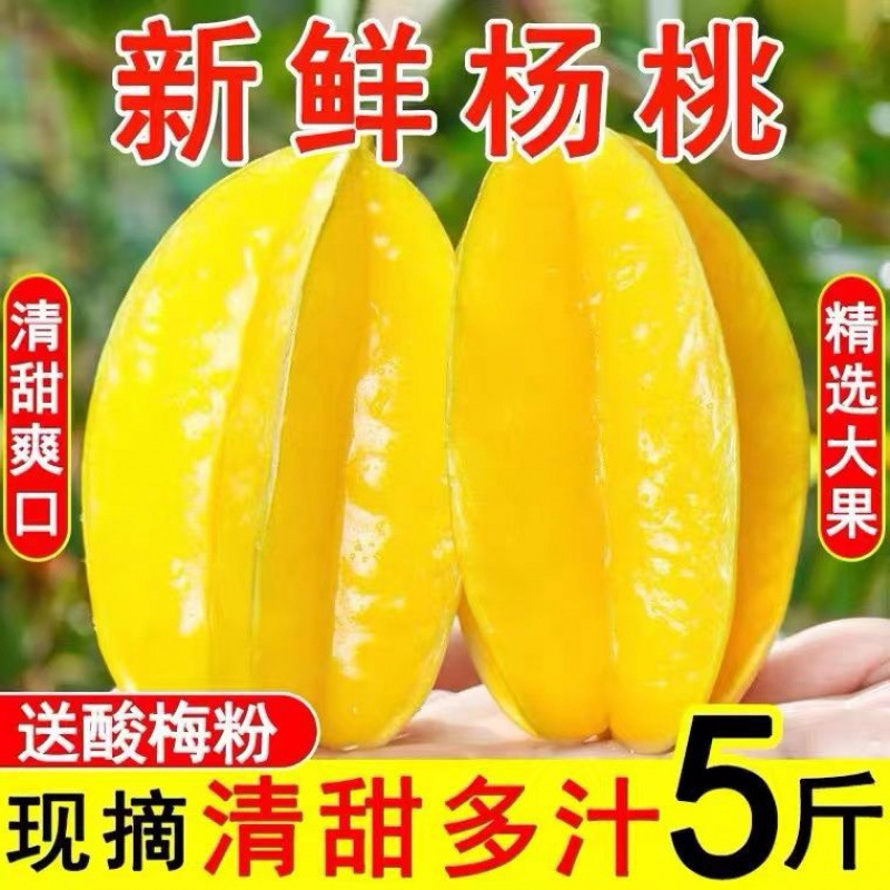 福建漳州杨桃新鲜采摘现发甜杨桃新鲜水果五斤包邮