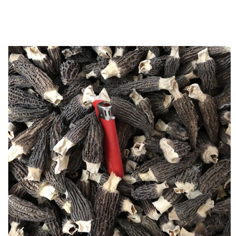 Dried morchella Yunnan specialty non-wild traditional tonic large cut foot Morchella wholesale 500g