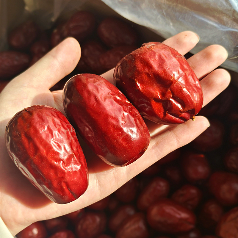 2025 New Arrivals Xinjiang Hotan Corps Jujubes for Gifting Wholesale Premium Jujubes Snacks Extra Large Fruit