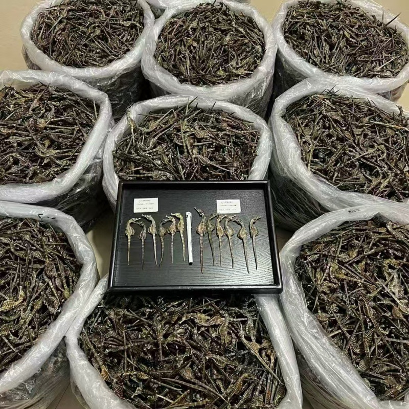 Суп из морского конька, продукты китайской травяной медицины, тонизирующие продукты