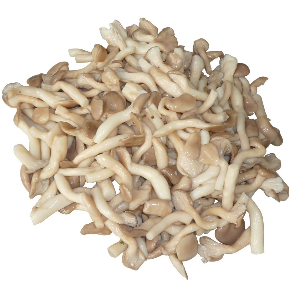 Salted Ji Mushroom, Pocket Mushroom, Small Oyster Mushroom, Nutritious Hot Pot Soup and Cooking, Wholesale Manufacturer