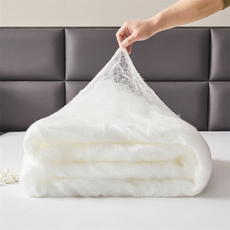 Hilton Hotel Embossed Silk Quilt Thick Winter Quilt Dormitory Mulberry Silk Spring and Autumn Quilt Core Gift Summer Cool Quilt Wholesale