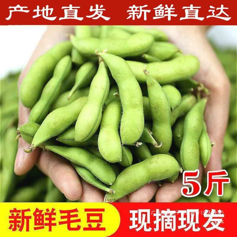 Свежий эдамаме в стручках, сырые зеленые бобы, сезонные овощи, сырой боб, стручки, эдамаме, свежие соевые бобы