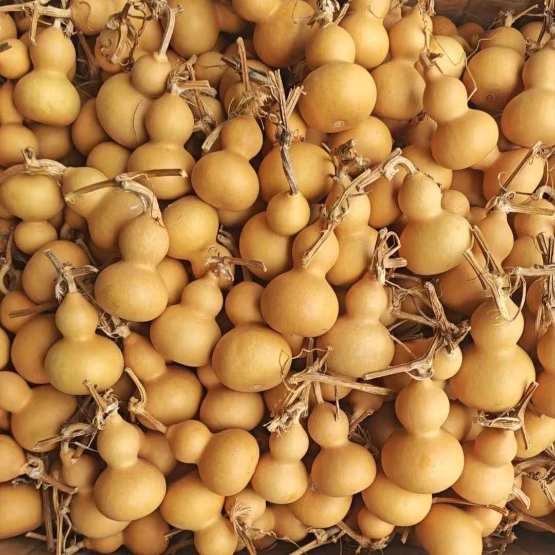 Small Gourds Wholesale Liaocheng Natural Gourd Crafts Gourd Hand-Twisted Gourd Direct Sales from the Source Manufacturer