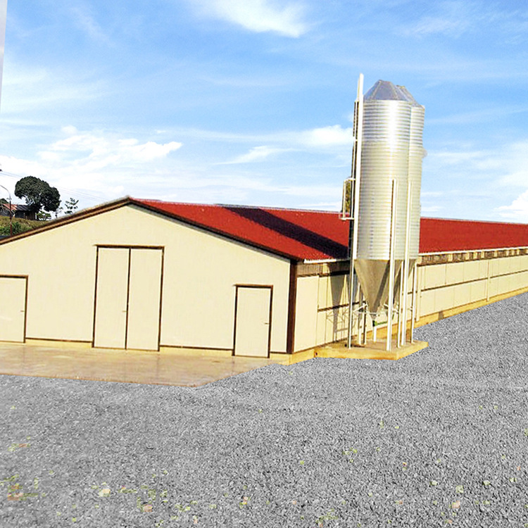 The design and installation of breeding greenhouses The construction of agricultural livestock greenhouses Pig shed Duck shed Chicken shed Cattle shed