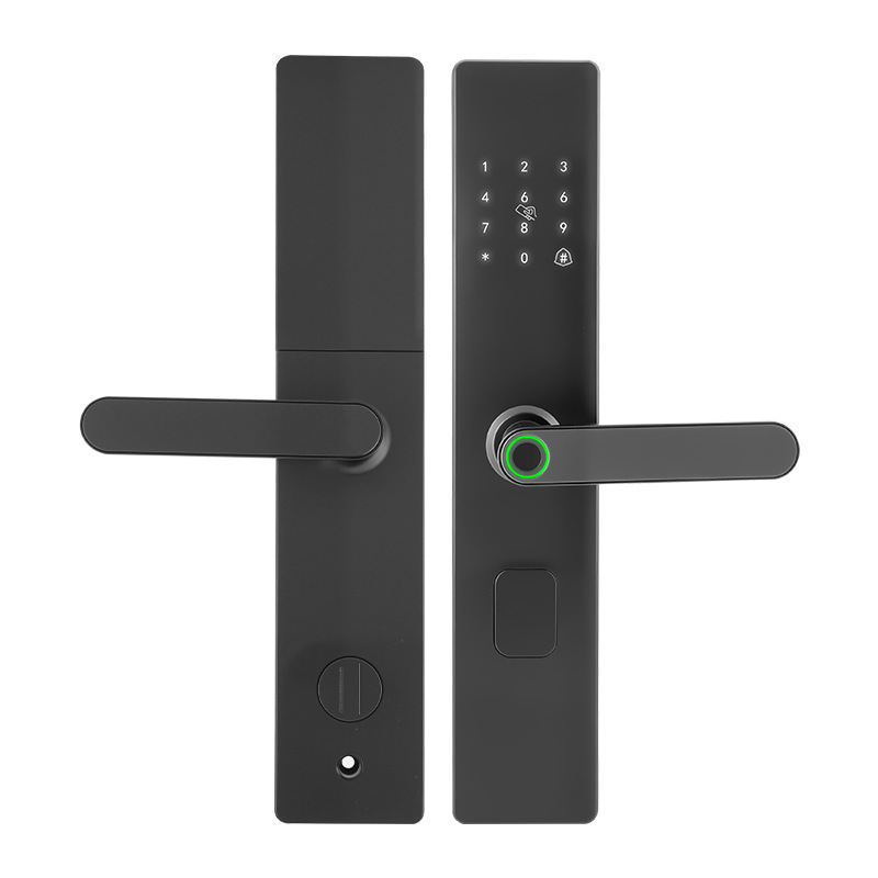 Hui Li Fingerprint Smart Lock for Guesthouse Entrance Doors, Semi-Automatic, Compatible with Bluetooth and Passwords, Remote Smart Lock for Office Use