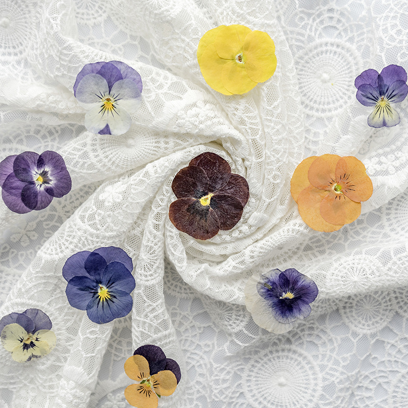 Сухие цветы коридалиса для декора лица, уголка глаз, макияжа феи, невесты, макияжа из сухих цветов