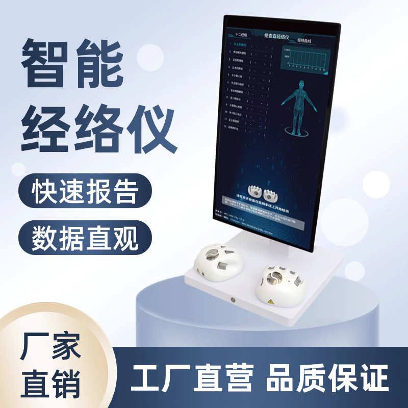 Ai Intelligent Health Detection Meridian Meter, Traditional Chinese Medicine Body Testing Instrument, All-In-One Diagnostic Device, Digital