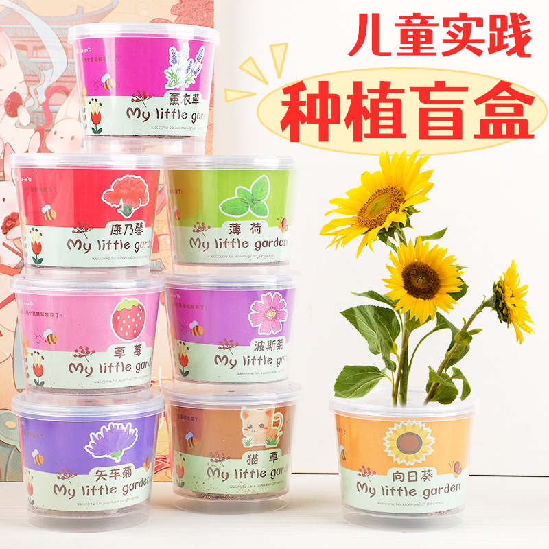 Planting Small Potted Gift Cat Grass Mint Seeds Desktop Green Plant Mini Creative Potted Sunflower Strawberry Planting