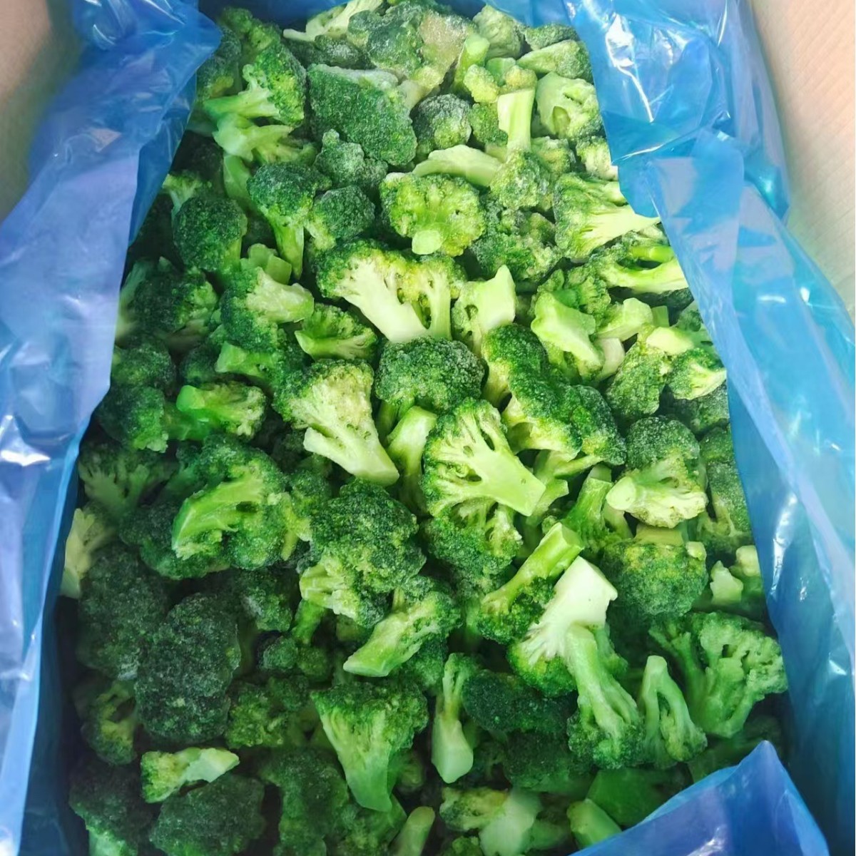 Быстро замороженные фрукты и овощи, быстро замороженный брокколи, замороженный брокколи 10 кг