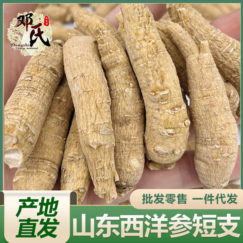 Shandong American ginseng section short branch pruning 500g bulk wholesale American ginseng section origin straight hair with long branch
