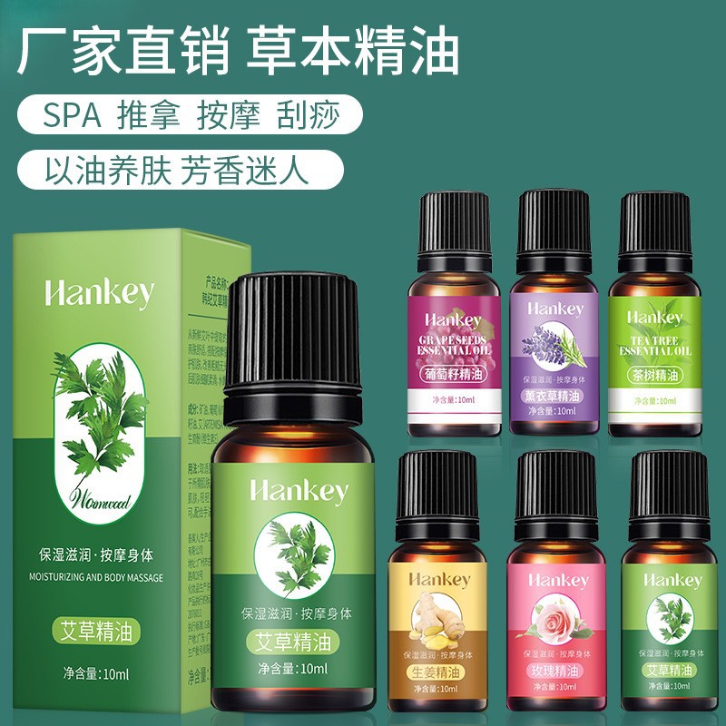 Korean Rose Ginger Mugwort Massage Essential Oil for Gua Sha, Unblocking Meridians, Beauty Salon Special Essential Oil, Body Massage Oil