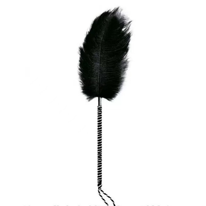 Fun feathers erotic feathers sexy adult supplies black pink gray feathers a generation of hair