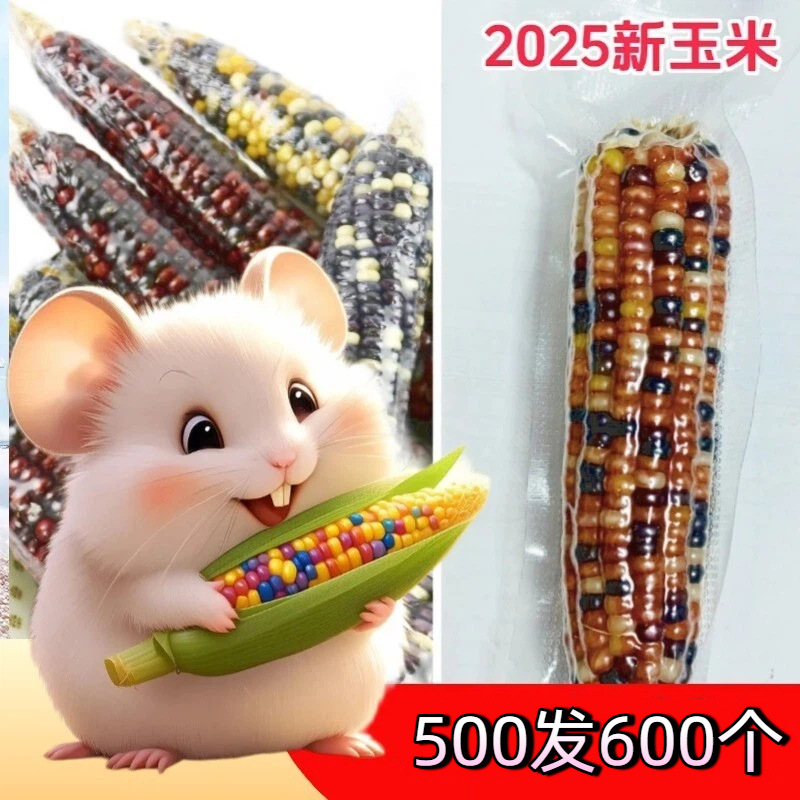 25 Years Mini Small Corn Hamster Molar Corn Golden Bear Rabbit Totoro Flower Branch Mouse Molar Snack Totoro