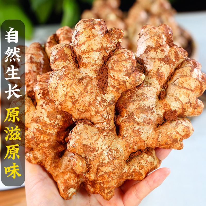 Yunnan New Small Turmeric, Old Ginger, Fresh Turmeric, Soil Ginger, Freshly Dug Ginger, Young Ginger, Fresh Ginger, Young Ginger 5kg Free Shipping