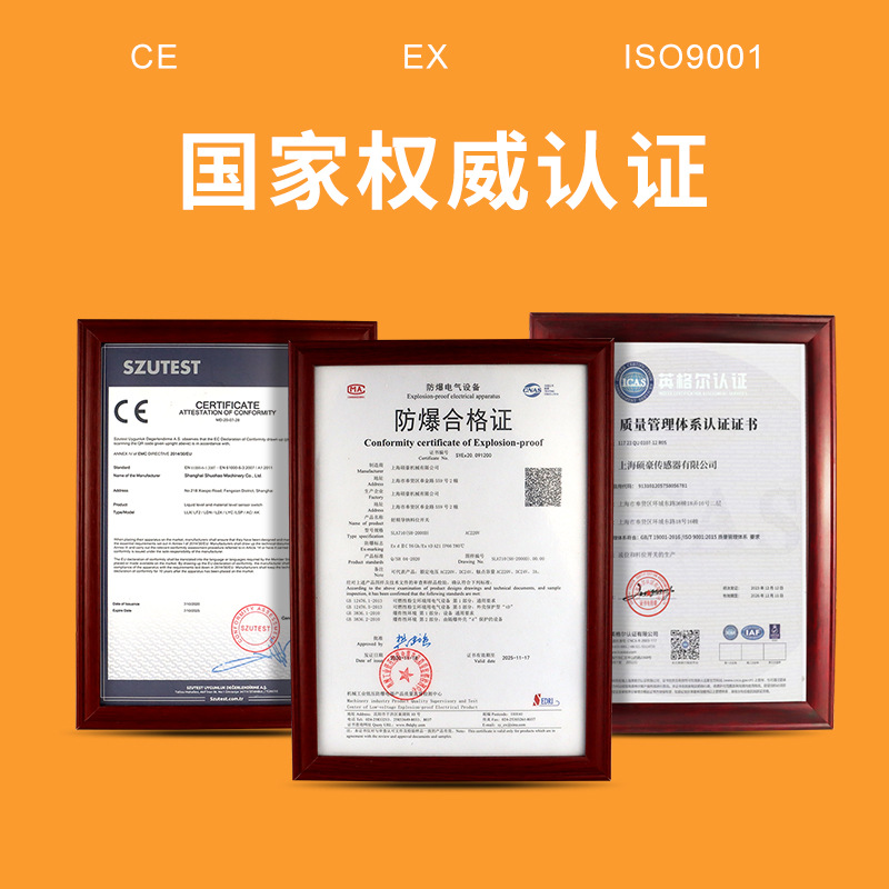 Shanghai Shuohao Tuning Fork Level Switch, Tuning Fork Material Level Switch, Tuning Fork Level Gauge, Tuning Fork Level Sensor, Explosion-Proof