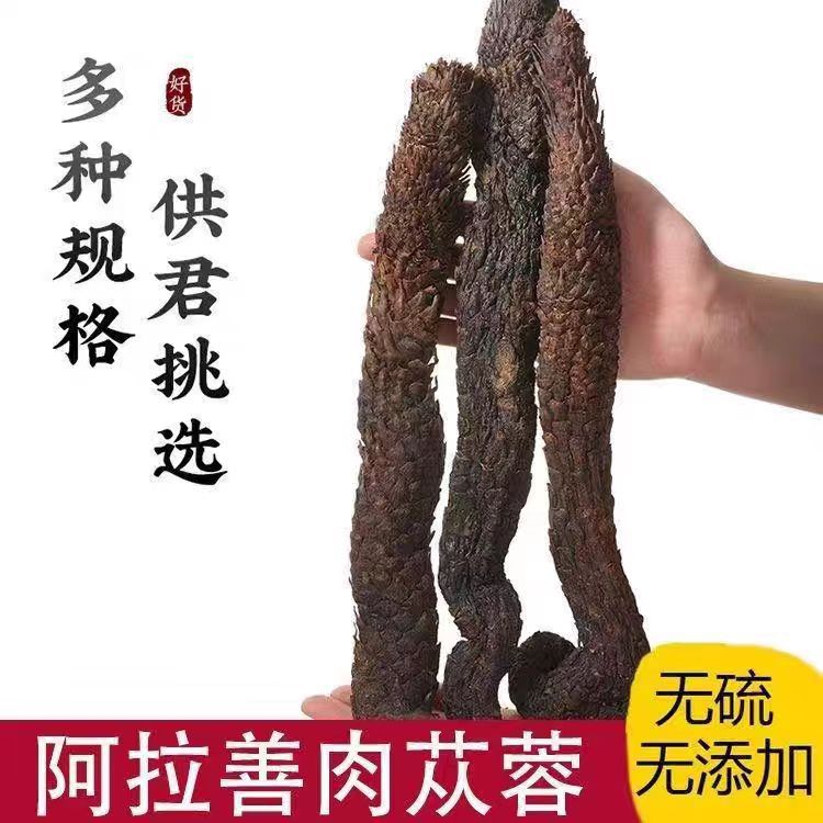 Inner Mongolia Alxa Cistanche Deserticola, Soft and Oily Whole Cistanche Deserticola, New Sliced Chinese Herbal Medicine Wholesale