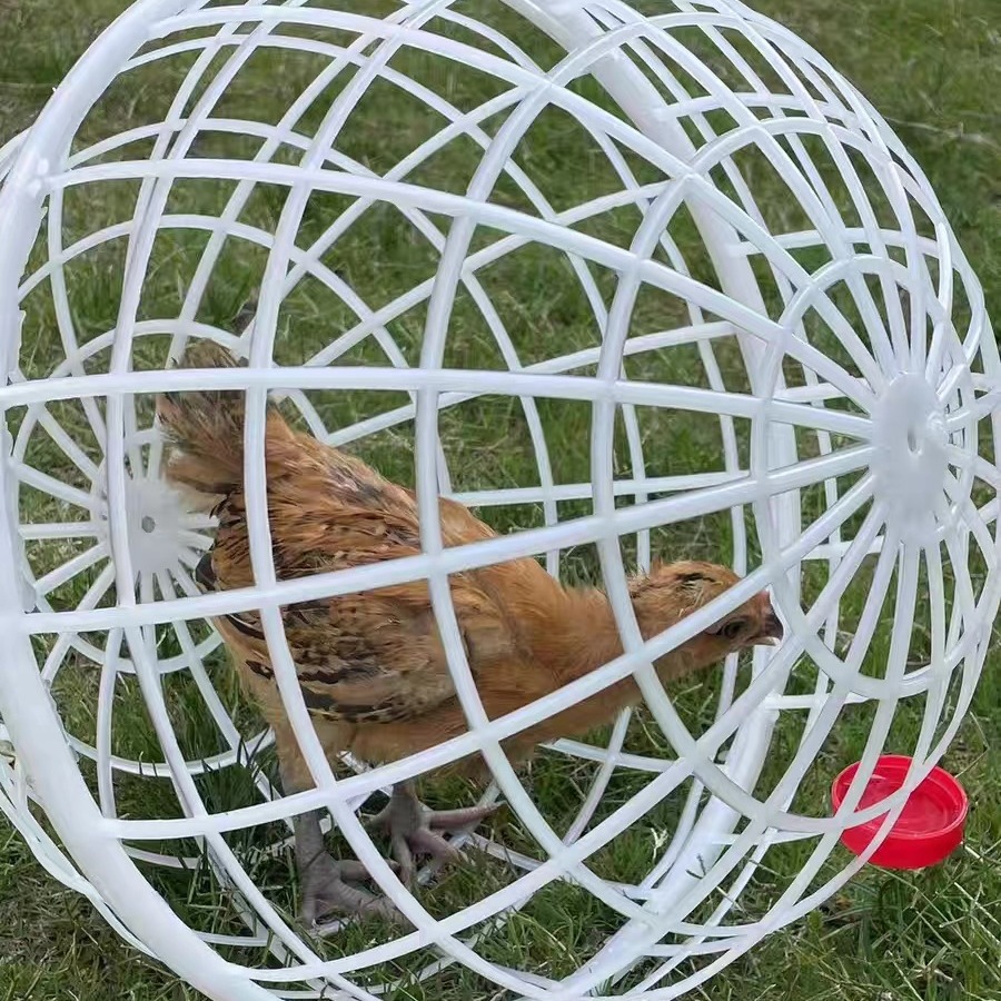 Cross-Border Rollable Round Cage Ball Type Internet Celebrity Walking Chicken Ball Type Chicken Cage Rabbit Cage Small Animal Protective Cage